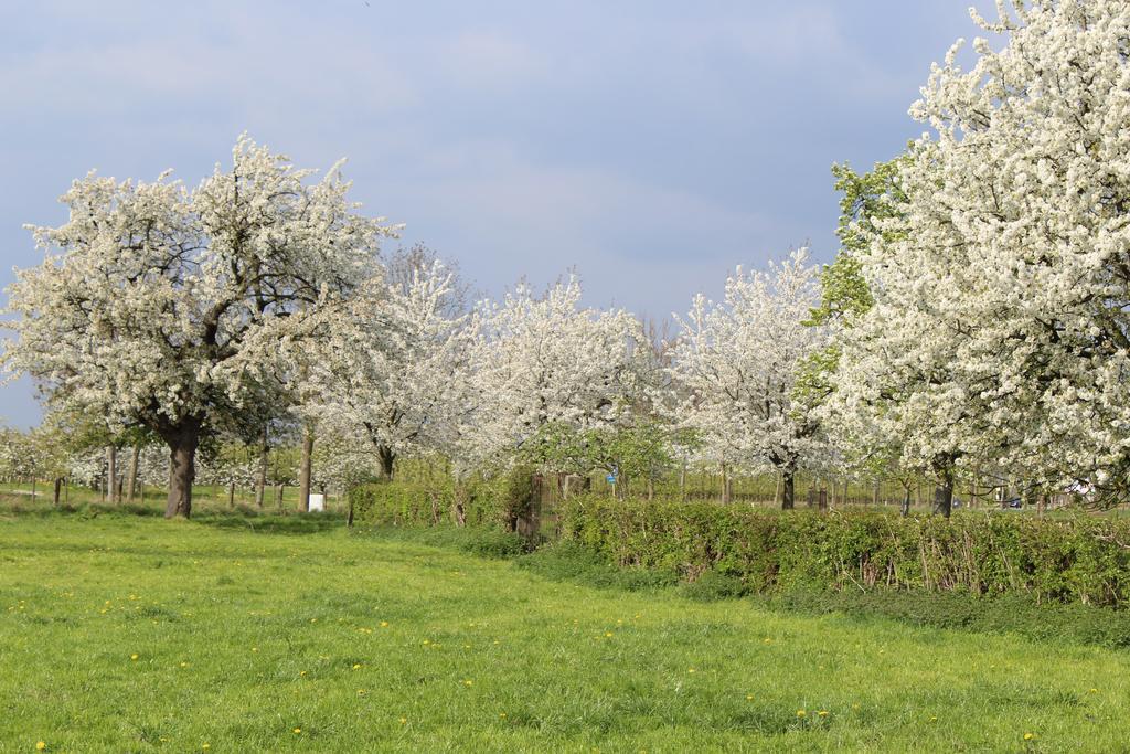 B&B De Vroling Wellen Exteriör bild